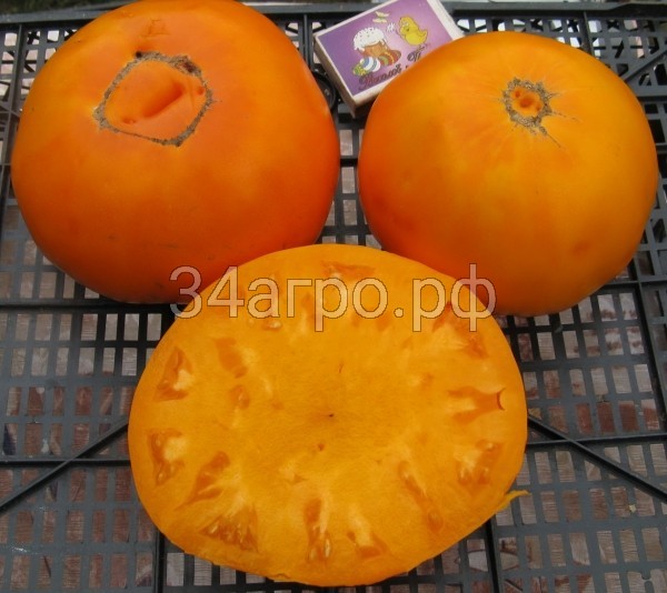 Томат Весы 1 кг