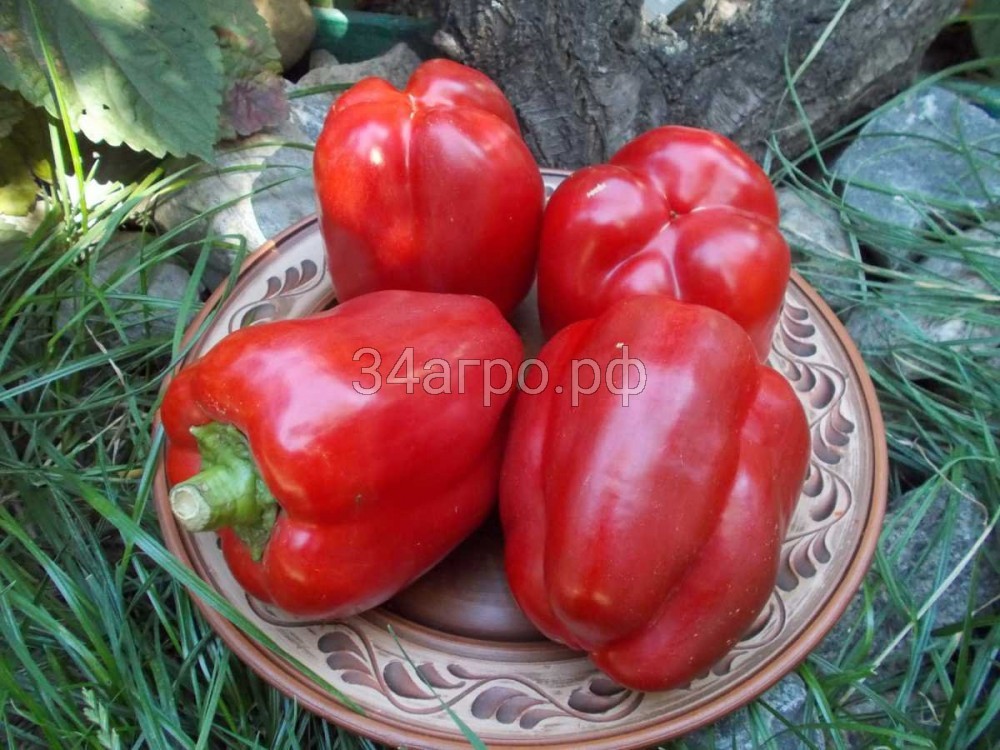 Перец Калифорнийское Чудо 20 гр.