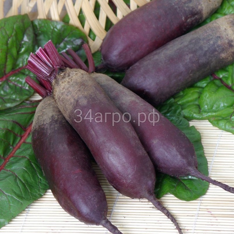 Свекла Цилиндра 1 кг