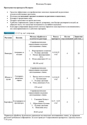 Фунгицид Полирам ДФ 100 гр.