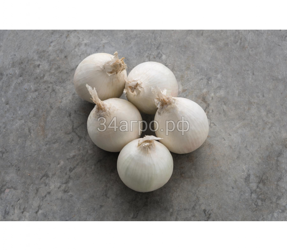 Лук Стардаст 5 гр.