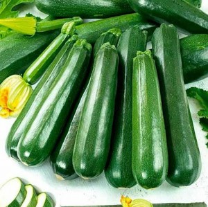 Кабачок (Цуккини) Бриллиант F1 1000с