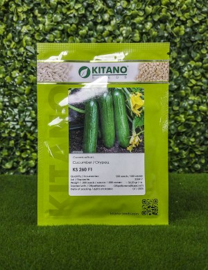 Огурец KS 260 F1 500 семян