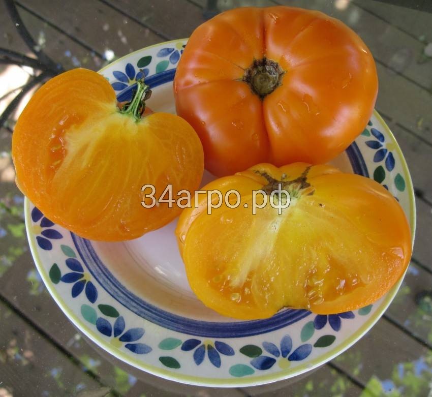 Томат Хурма 100 шт.