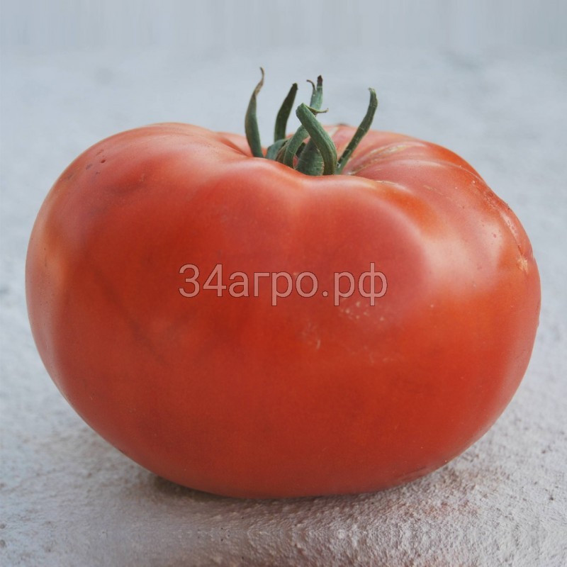 Томат Чудо Рынка 50 гр. копия №1763015070 копия №1763015104