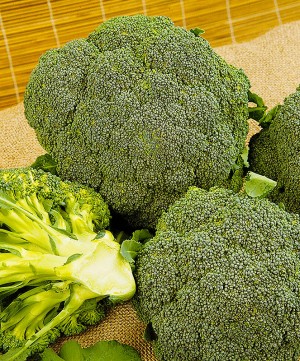 Капуста брокколи Монако F1 250 семян